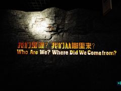 -国家自然博物馆