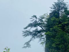 -恩施大峡谷