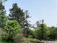 -南京市无想山景区