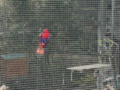 -九龙公园