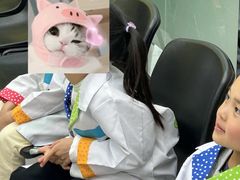 -神奇科学家STEAM科学实验科创赛事机器人编程逻辑思维MadScience(长宁来福士校区)