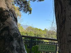 -金鸡山公园