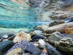 -黑河国家森林公园