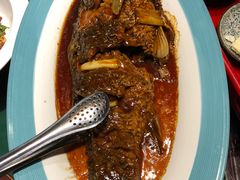 葱烧黄河鱼-九十九顶毡房(阜石路店)