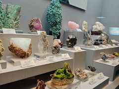 -湖南省地质博物馆