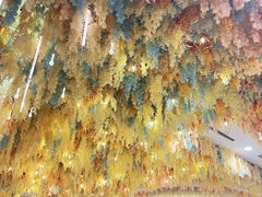 -东方之珠海鲜酒楼(南开店)