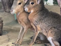-正佳雨林生态植物园