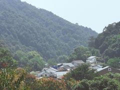 -龙井村
