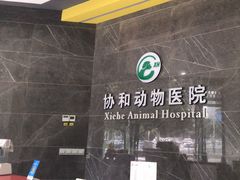 -瑞鹏瑞爱宠物医院·全科·猫科·血液透析中心(龙头寺店)