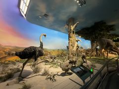 -国家自然博物馆