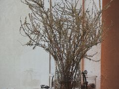 -那家面包房(珠江路店)