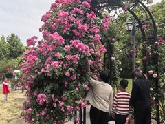 -上海交通大学(闵行校区)