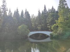 -东平国家森林公园