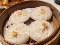 -点都德·毕德寮