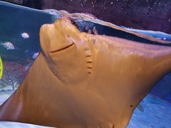 -沈阳海洋探索中心