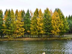 -塞罕坝国家级自然保护区