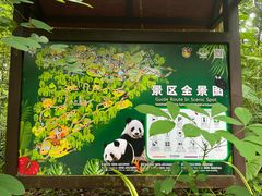 -海南热带野生动植物园
