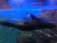 -多彩贵州城极地海洋世界