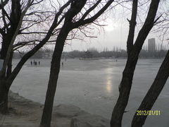 -青城公园