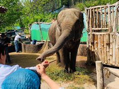 -大连森林动物园