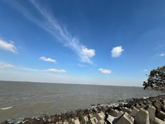 -上海滨江森林公园