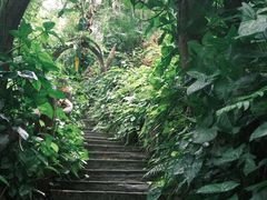 -野象谷景区