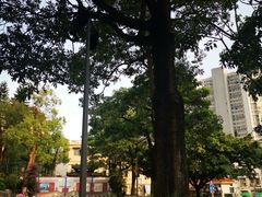 -鸿山公园