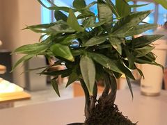 -奈雪茶院·茶室茶馆(广州粤海天地店)
