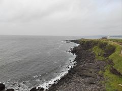 -涉地可支