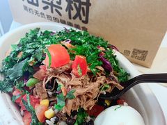 -油梨树AVOCADO TREE(嘉里中心店)