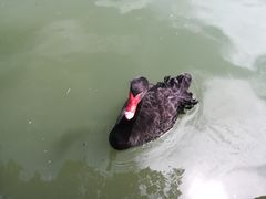 -东部华侨城