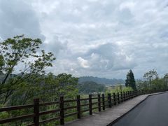 -万峰林风景区