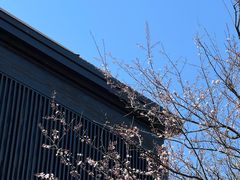 -品悦(崇明凯悦店)