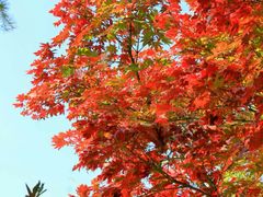 -丹东天桥沟景区