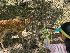 -大连森林动物园