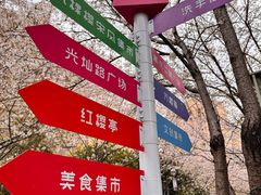 -高东镇樱花园
