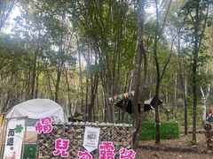 -帽儿山风景区