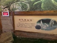 -华山御温泉度假村