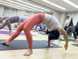 -酉嘉瑜伽YO+YOGA