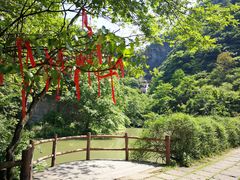 -溪口-滕头旅游景区