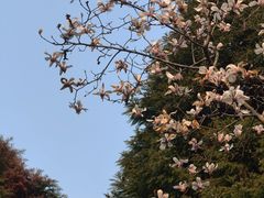 -白塘生态植物园