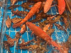 -新丁香海鲜酒店(银海商贸城店)