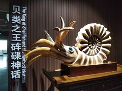 -贝壳王国博物馆