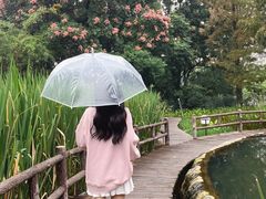 -成都市活水公园