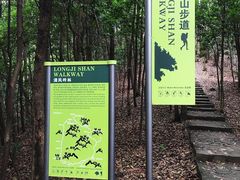 -南山植物园
