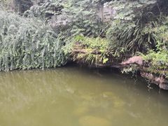 -三岔湖景区