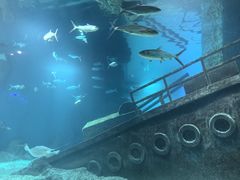 -福州罗源湾海洋世界旅游区