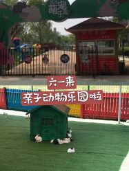 -萌宠亲子动物乐园(槐房万达店)