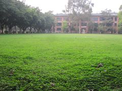 -中山大学学者灵芝(园南路店)