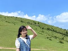 -大姆山草场